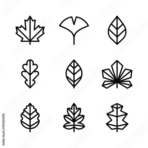 Collection of nine distinct leaf icons in a grid layout.