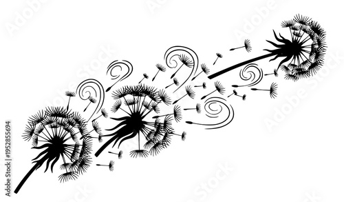 Dynamic black and white dandelion seeds in motion with fluffy seed heads in bold graphic vector style