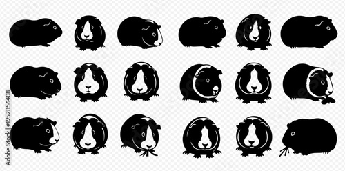 Collection of black and white guinea pig silhouettes in various poses, isolated on a transparent background, depicting different angles and actions of the small rodent pets.