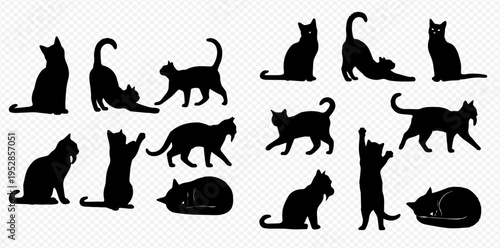 Set of various black cat silhouettes in different poses, isolated on transparent background, showcasing domestic feline behavior.