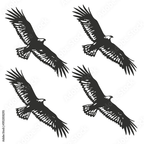 Four eagles in flight dynamic pose wings outstretched powerful birds of prey detailed feathers soaring hunting aerial view wildlife majestic grace animal
