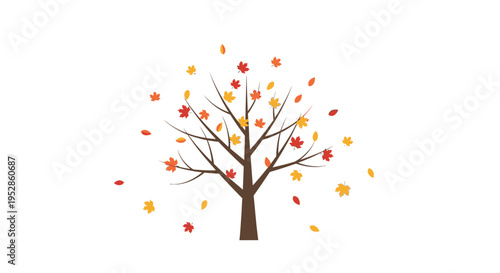 Autumn tree with falling leaves, seasonal change, isolated on white background