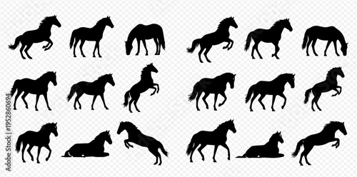 Collection of horse silhouettes in various dynamic poses including running, rearing, and grazing, isolated on a transparent background.