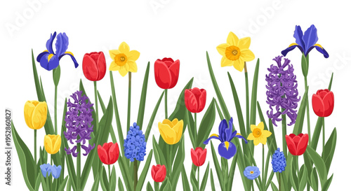 Vibrant Spring Flower Garden Border: Tulips, Daffodils, Irises, Hyacinths