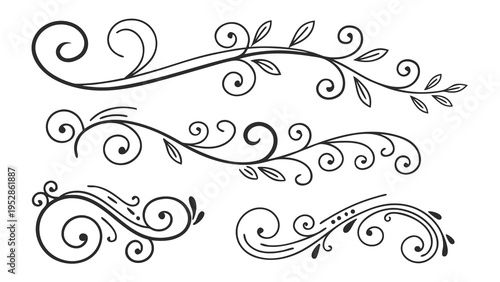 Hand drawn floral swirl ornaments with leaves and decorative branches isolated on white background set of elegant black vector calligraphic lines