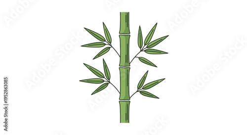 Green Bamboo Stalk with Leaves Isolated on White Background, Vertical