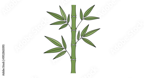 Green bamboo stalk with leaves isolated on white background