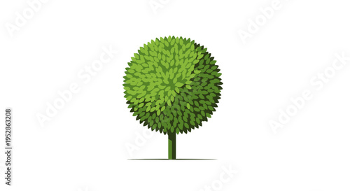 Green Spherical Tree Isolated on White Background, Nature Element