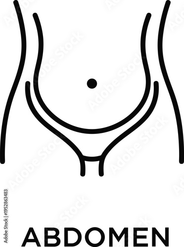 Human abdomen anatomy line icon minimal vector illustration medical body stomach area outline healthcare symbol simple design