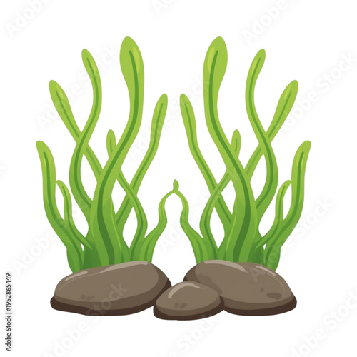 Green Seaweed with Rocks Underwater Illustration