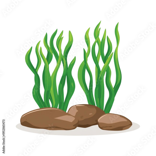 Green Seaweed with Rocks Underwater Illustration