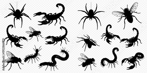 Set of various insect and arachnid silhouettes including spiders, scorpions, flies, and centipedes on a transparent background.