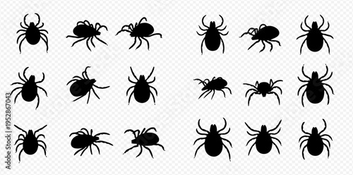 Collection of black tick silhouettes in various poses, isolated on a transparent background, depicting arachnids and parasites.