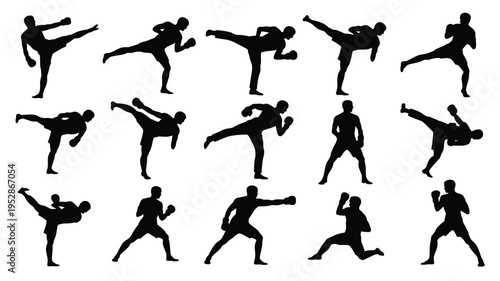Collection of black silhouette martial arts poses and movements on white background for design