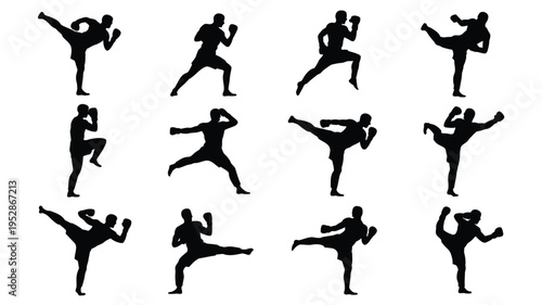 Martial arts silhouettes kickboxing poses fighting stances combat sports fitness illustrations exercise graphics
