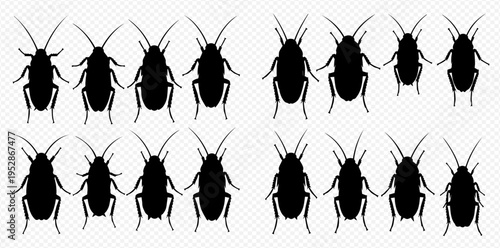 Set of black silhouettes of cockroaches on a transparent background, vector illustration of pests.