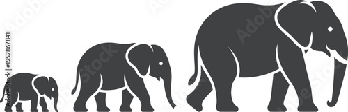 Three elephants walk together in a line on a plain savannah landscape