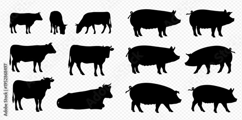 Set of silhouettes of farm animals: cows and pigs in various poses, isolated on a transparent background.