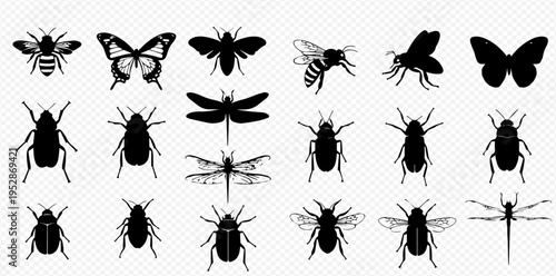 Collection of various insect silhouettes including butterflies, bees, beetles, and dragonflies on a transparent background.