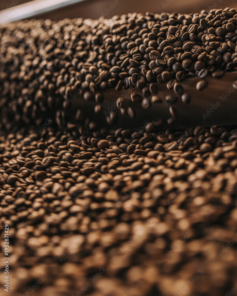 Fototapeta premium Coffeebeans fresh after roasting process