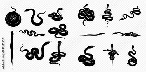 Set of various black snake silhouettes in different poses, isolated on a transparent background, depicting reptiles, serpents, and viper designs.