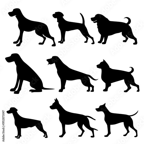 Black silhouettes of various dog breeds standing still Vector