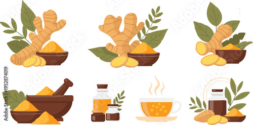 Ginger Herbal Collection with Root Slices Powder Tea Cup and Essential Oil Bottles for Natural Medicine and Organic Cooking Vector Illustration Set