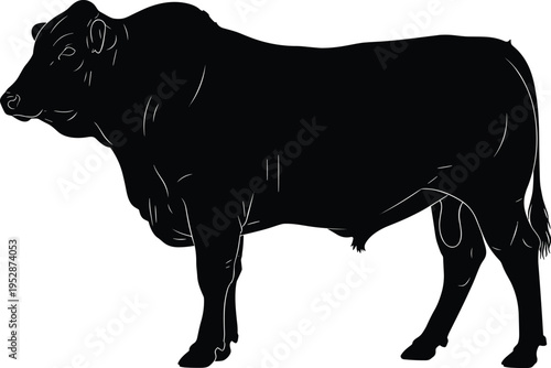 A detailed black silhouette of a muscular bull standing in profile against a clean white background isolated on white background