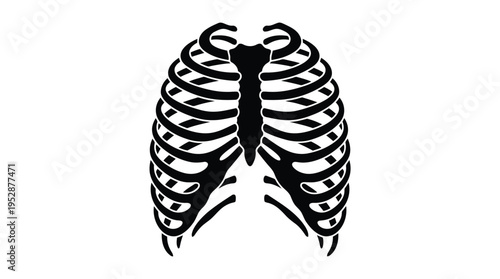A black and white vector graphic illustration of a human ribcage
