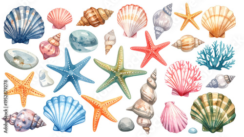 Sea Shells Starfish Coral and Smooth Stones Collection Isolated on White Background Marine Life Elements for Summer Beach Theme Design Vector Illustration