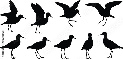 Shorebirds, silhouettes, collection, birds, wildlife, flying, standing, coastal, wading, nature, animal, black, wings, set, design, clipart, isolated, flat, vector, illustration