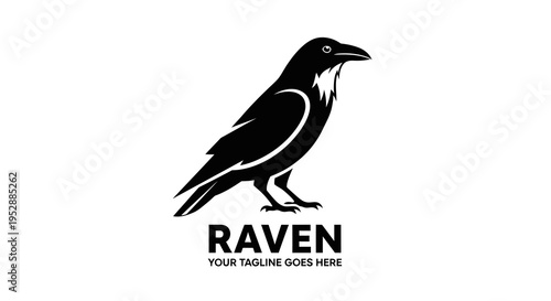 Raven bird logo silhouette icon on white background