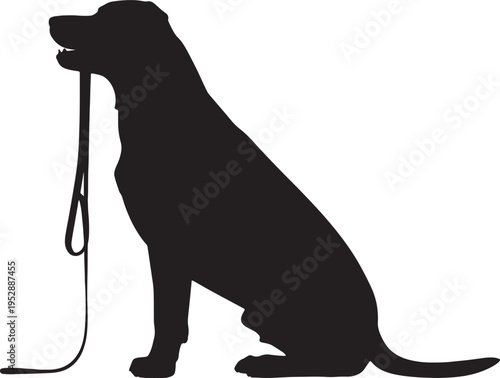 Silhouette of a dog sitting on a leash isolated on white background