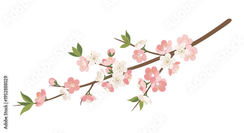 Spring Blossom Branch with Pink and White Flowers and Green Leaves