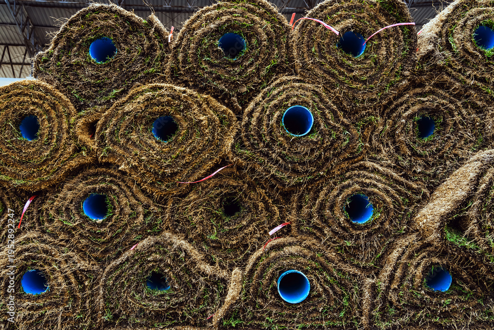 Obraz premium Stacked fresh green grass rolls with visible soil and roots for landscape service. Turf rolls stacked for instant lawn installation project. Fresh natural sod rolls for instant lawn and ground cover.
