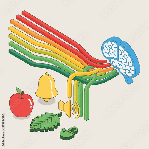 An illustration depicting sensory input and processing within the human brain.
