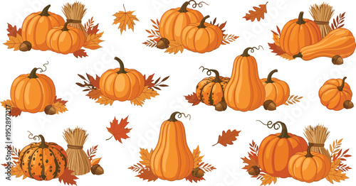 Autumn Pumpkin and Gourd Vector Set Featuring Fall Harvest Decorations, Leaves, Acorns, and Seasonal Thanksgiving Elements Illustration