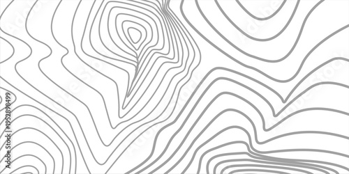 Grey contour line seamless background. Vector Repeating Texture.