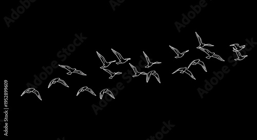 A large flock of birds flying together in a coordinated formation across the dark night sky expanse