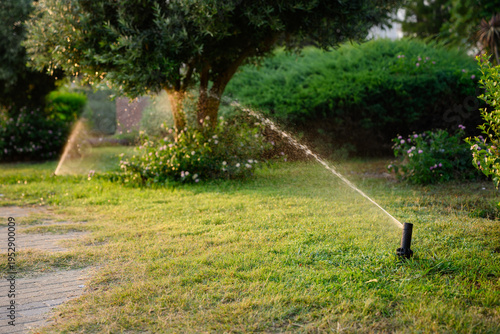 Lawn watering. Automatic sprinkler system moistens lush greenery of your backyard, creating rainbow when watered. Sprinkler system provides even spray of water for lawn care during hot summer months.