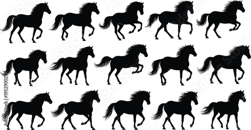 Set of running horse silhouettes in various poses, black and white vector collection for equestrian design, wildlife illustration, and dynamic motion graphics