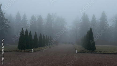 Fotografía Wide gravel park alley disappearing into thick fog