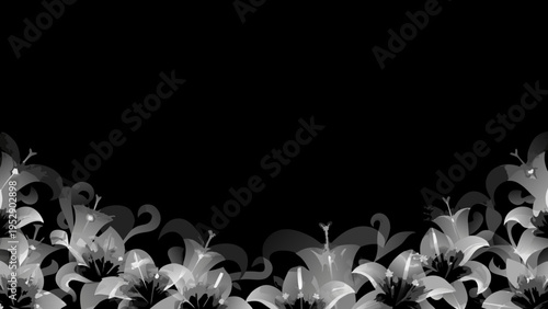 Abstract floral design with translucent white blossoms against a dark background