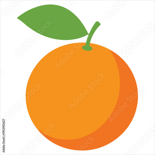 A bright orange fruit with a green leaf