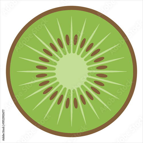 A green kiwi fruit cut in half