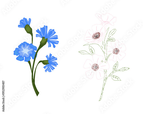 Blue Floral Vector with Sketch Outline