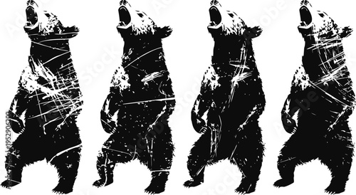 four standing bears roaring with grunge distressed texture in black and white
