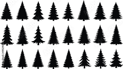 Pine tree silhouettes collection, evergreen forest vector set with fir spruce shapes, nature icons isolated, woodland landscape design elements for projects