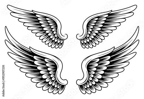Angel Wings Black and White Vector Illustration