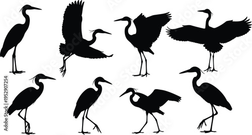 Heron bird silhouettes collection, wading crane poses vector set, flying and standing wildlife icons isolated, nature design elements for projects